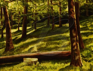 Irish Woodlands