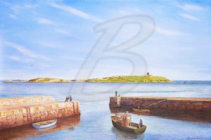 Dalkey-Island-Deilginis