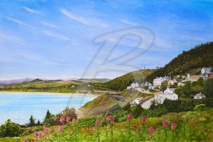 Vico-Killiney-Bay